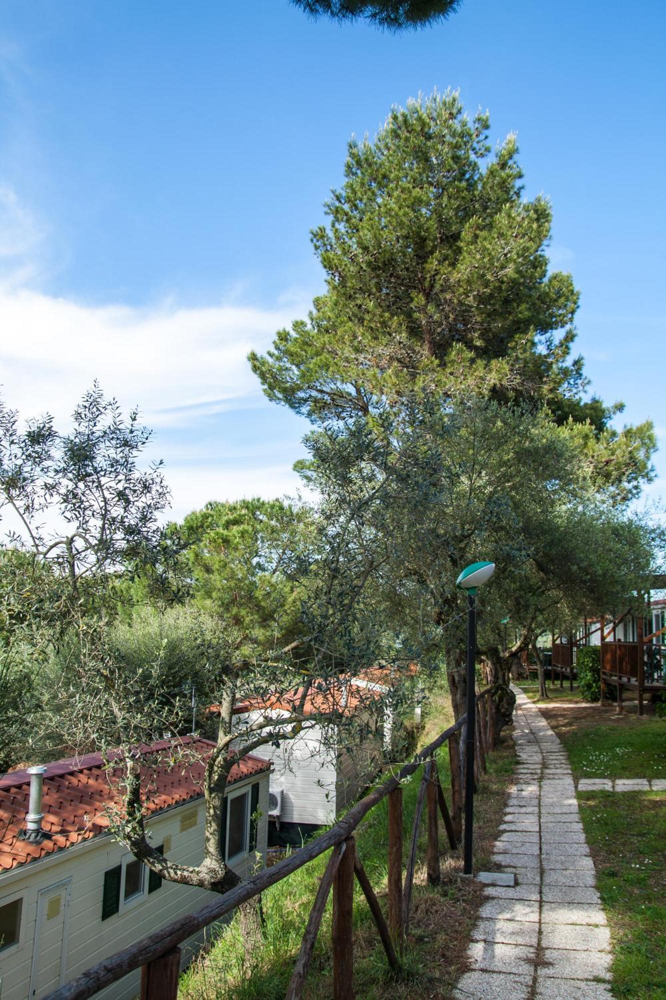 Cerquestra Camping Village Monte del Lago ภายนอก รูปภาพ