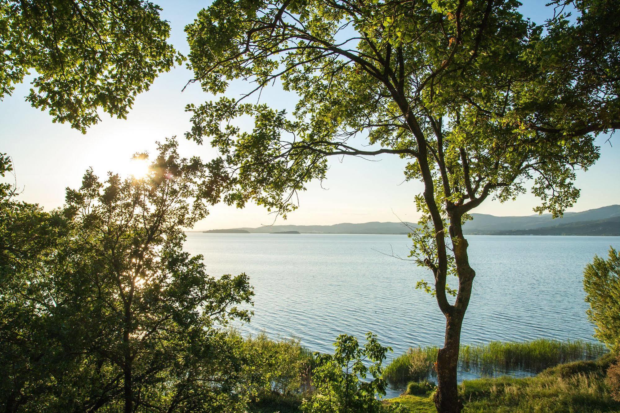 Cerquestra Camping Village Monte del Lago ภายนอก รูปภาพ